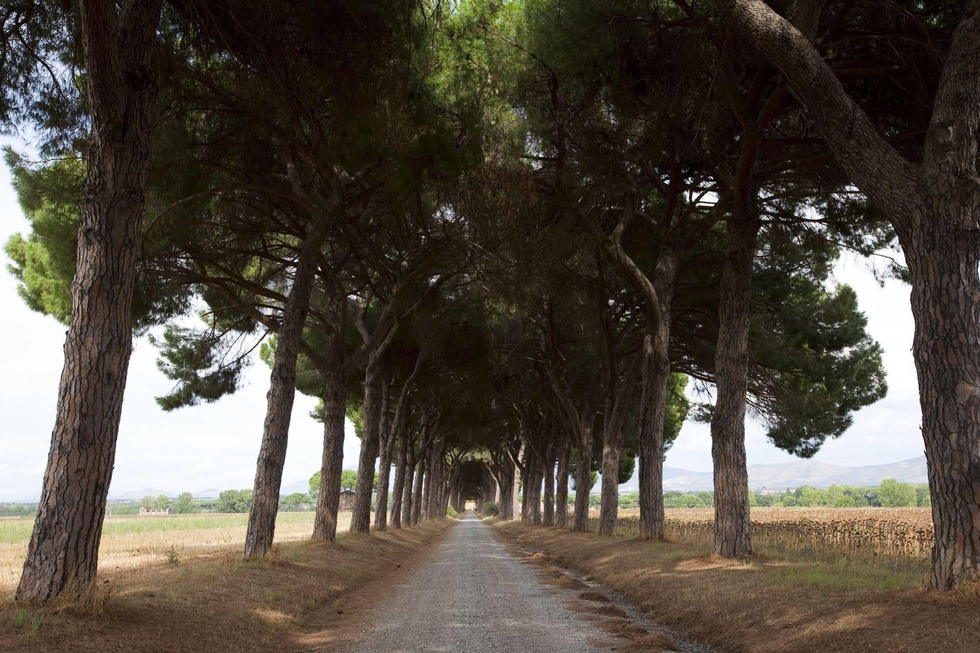Agriturismo Pantano Borghese Монте-Компатри Экстерьер фото